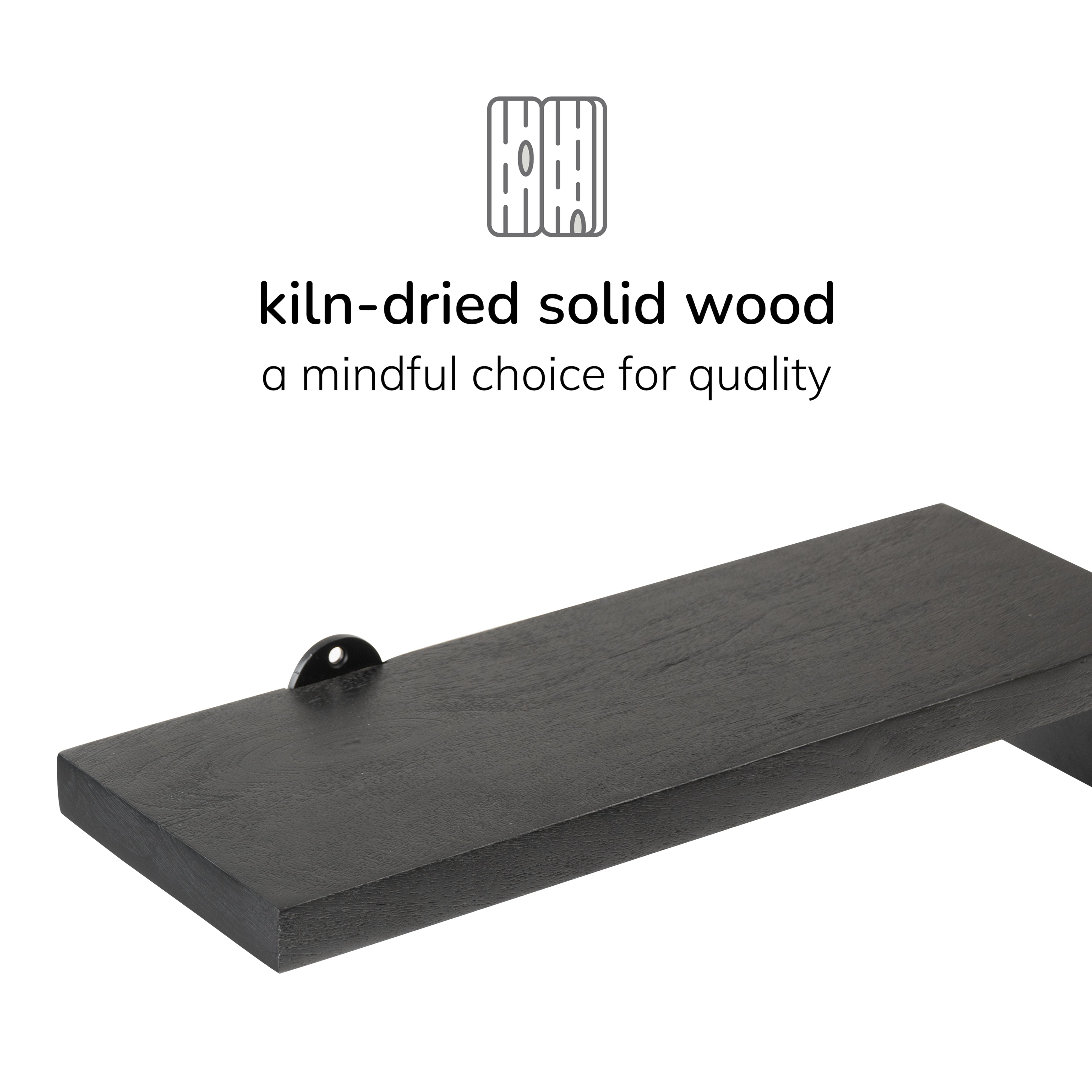 Penny Set of 2 Solid Wood Wall Mounted Shelves - Black
